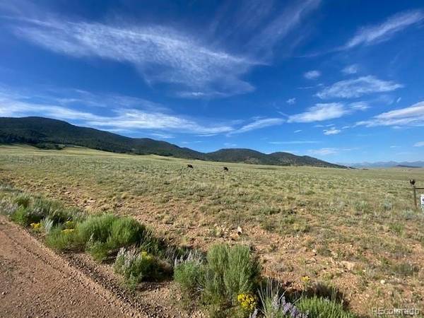 690 Eagle Gate RD, Westcliffe, CO 81252
