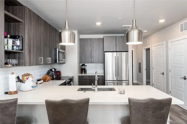 20 Wilcox #503, Castle Rock, CO 80104