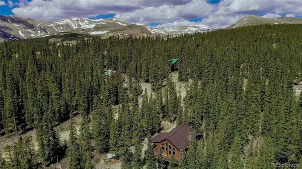 566 Miners WAY, Fairplay, CO 80440