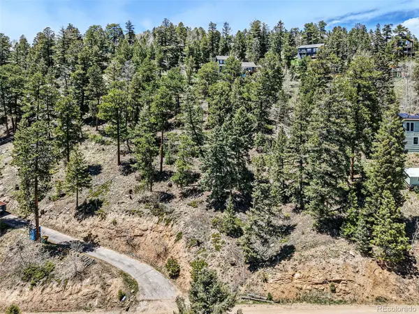 11618 Nichols WAY, Conifer, CO 80433