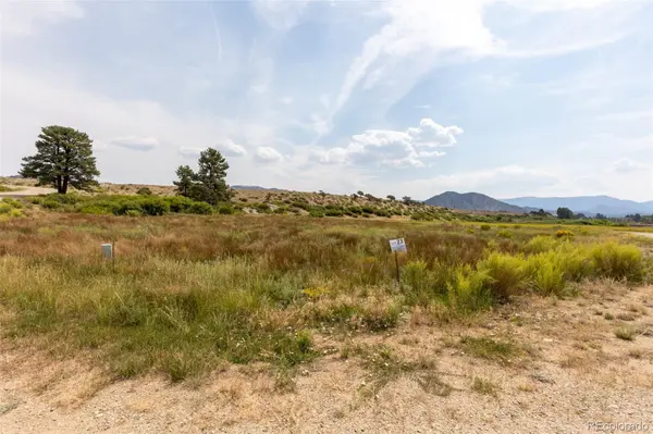 24230 River Rock LN, Buena Vista, CO 81211