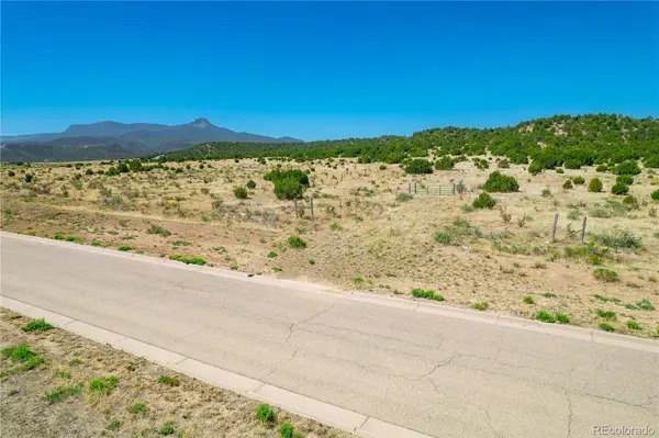 37300 Kunzite RD, Trinidad, CO 81082