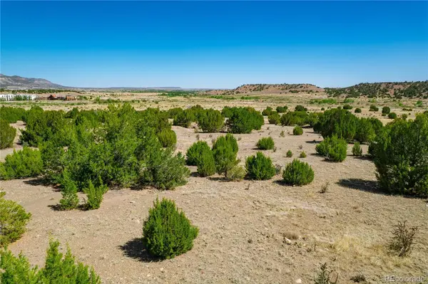 37300 Kunzite RD, Trinidad, CO 81082