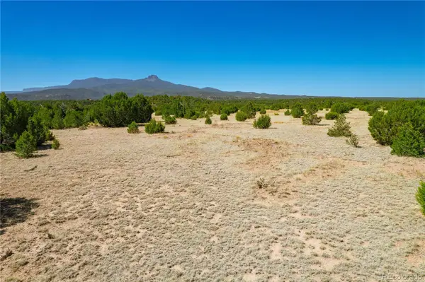 37300 Kunzite RD, Trinidad, CO 81082