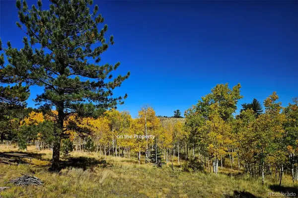 51 Singletree LN, Hartsel, CO 80449