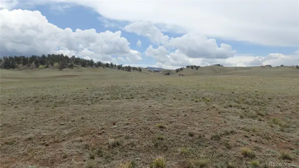 Delaware RD, Hartsel, CO 80449