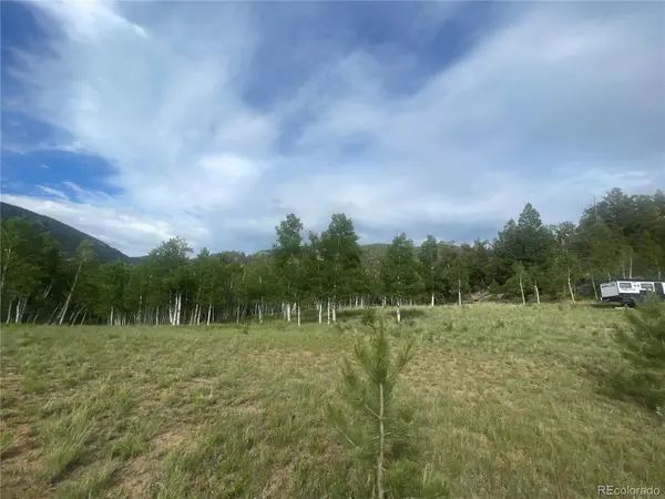 171 Emerald WAY, Lake George, CO 80827