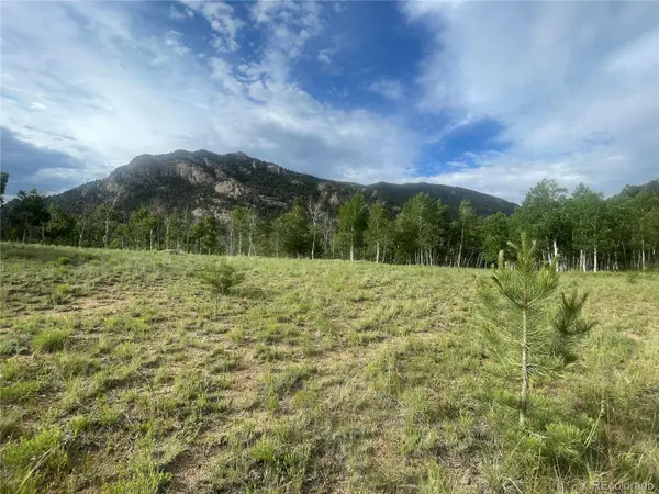 171 Emerald WAY, Lake George, CO 80827