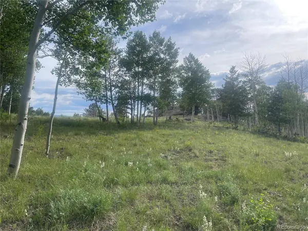 171 Emerald WAY, Lake George, CO 80827