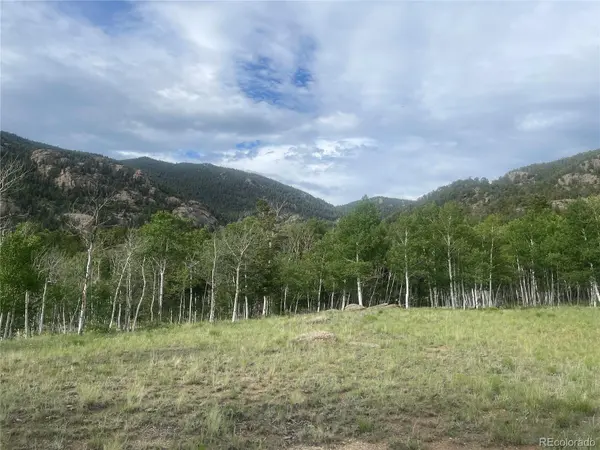 171 Emerald WAY, Lake George, CO 80827