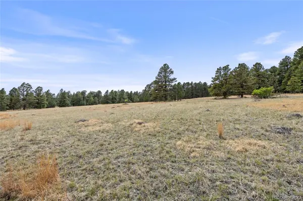 8653 N Teacup RD, Elbert, CO 80106