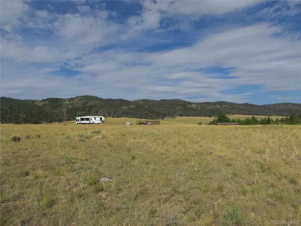 1250 Bolster DR, Hartsel, CO 80449