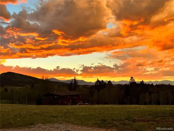 1250 Bolster DR, Hartsel, CO 80449