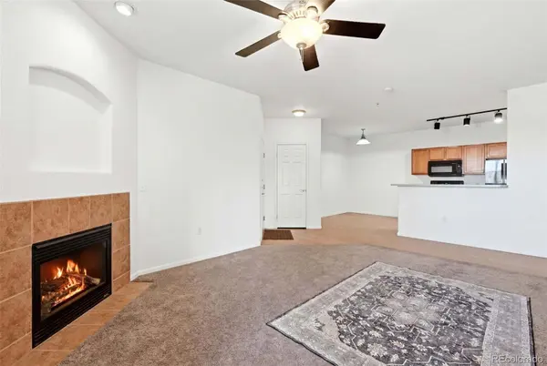 10733 S Twenty Mile RD #203, Parker, CO 80134