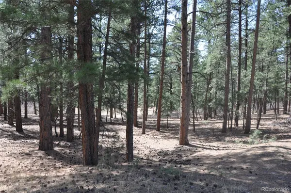 Wood Sorrel Rd, Larkspur, CO 80118