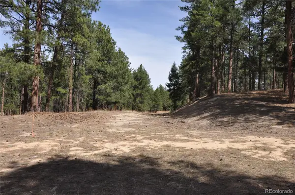 Wood Sorrel Rd, Larkspur, CO 80118