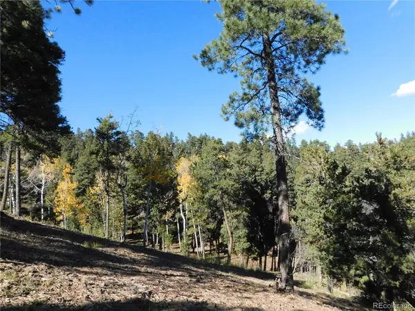 13886 Boulder LN, Larkspur, CO 80118