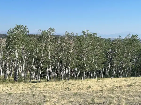 8608 Ranch RD, Hartsel, CO 80449
