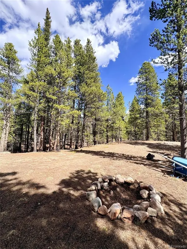 0 Georges WAY, Alma, CO 80420