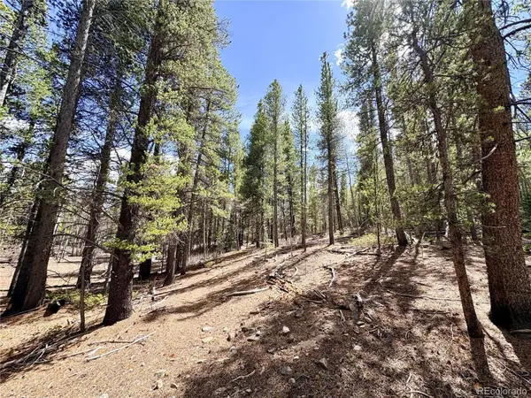 0 Georges WAY, Alma, CO 80420