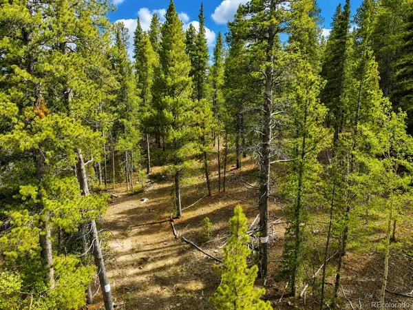0 Georges WAY, Alma, CO 80420