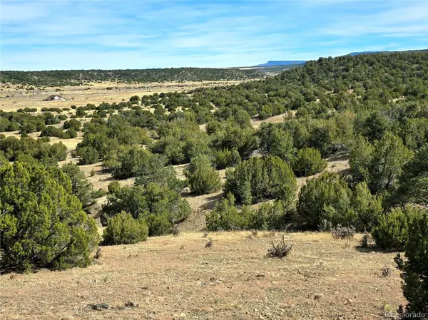 Lot 21 of 13565 Bat Masterson DR, Trinidad, CO 81082
