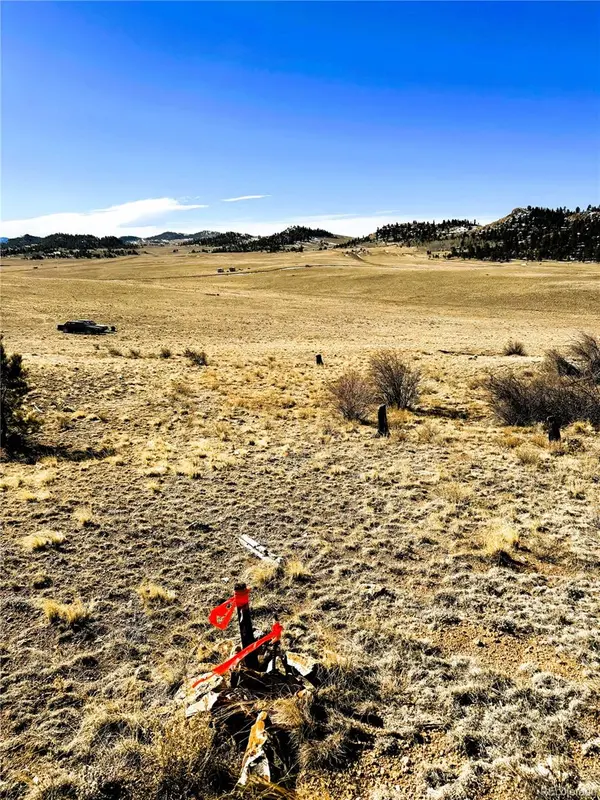 492 Chickamauga TRL, Hartsel, CO 80449