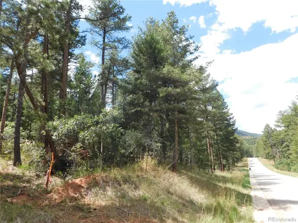 8139 Bannock DR, Larkspur, CO 80118