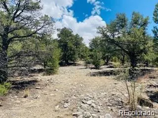 65 Mill RUN, Alamosa, CO 81101