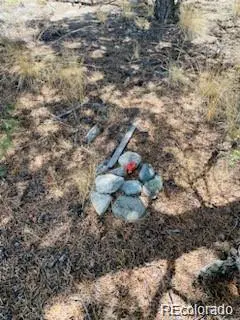 65 Mill RUN, Alamosa, CO 81101