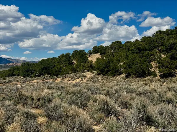lot 3817 Fontaine RD, Fort Garland, CO 81133