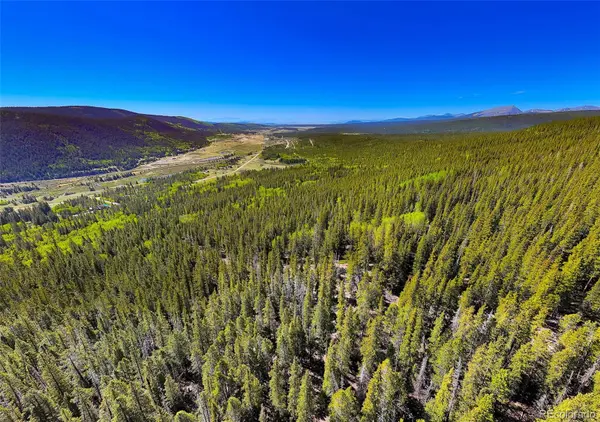 715 Lewsader RD, Alma, CO 80420