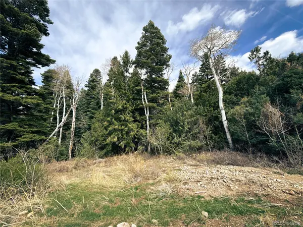 189 Cedar Ridge RD, Mosca, CO 81146