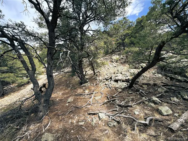 189 Cedar Ridge RD, Mosca, CO 81146