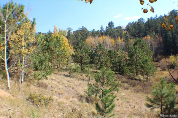 2012 Shelton DR, Bailey, CO 80421
