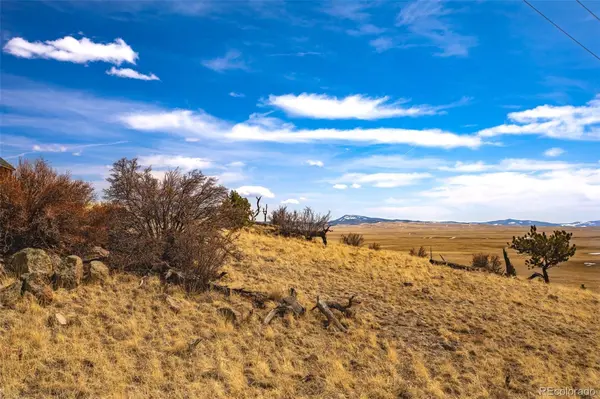 102 Pack Saddle CT, Hartsel, CO 80449