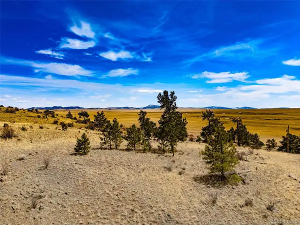 102 Pack Saddle CT, Hartsel, CO 80449