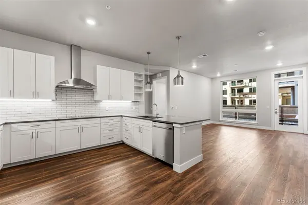 20 Wilcox ST #207, Castle Rock, CO 80104