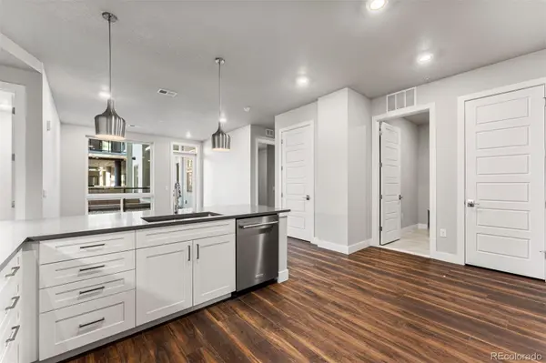 20 Wilcox ST #207, Castle Rock, CO 80104