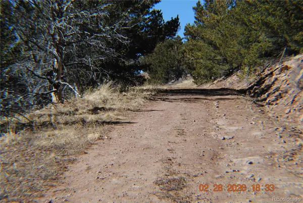 2734 NEWMAN, Fort Garland, CO 81133
