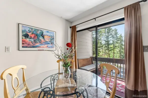 246 Broken Lance Dr #402, Breckenridge, CO 80424