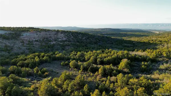 18975 Elk Reserve RD, Glade Park, CO 81523