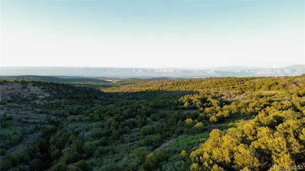 18975 Elk Reserve RD, Glade Park, CO 81523