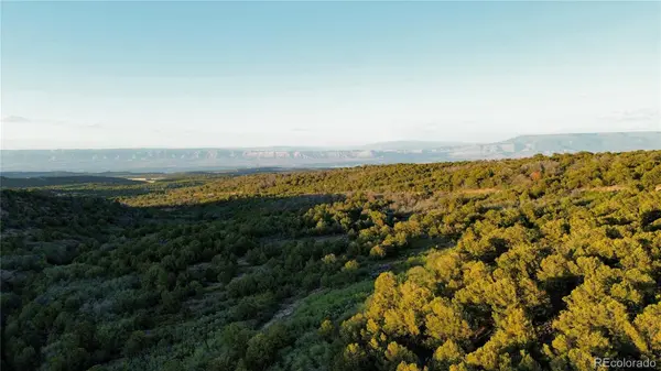 18975 Elk Reserve RD, Glade Park, CO 81523