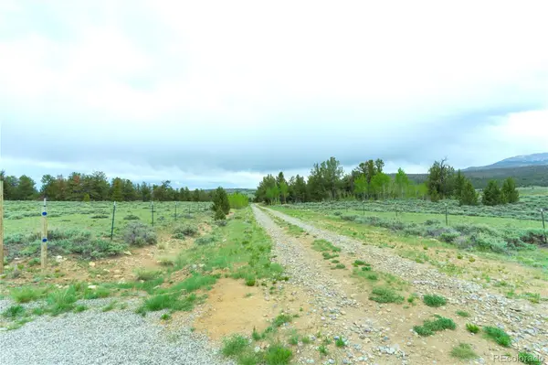2662 Willow Creek LN, Fairplay, CO 80440