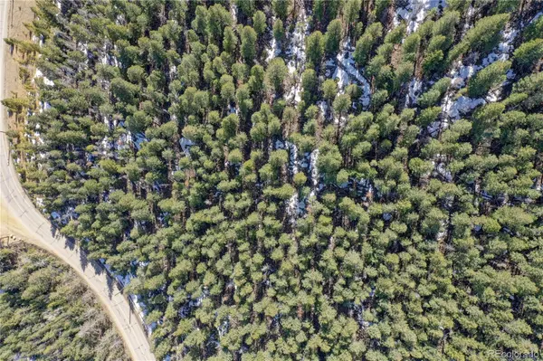 00 Saddleback, Evergreen, CO 80439