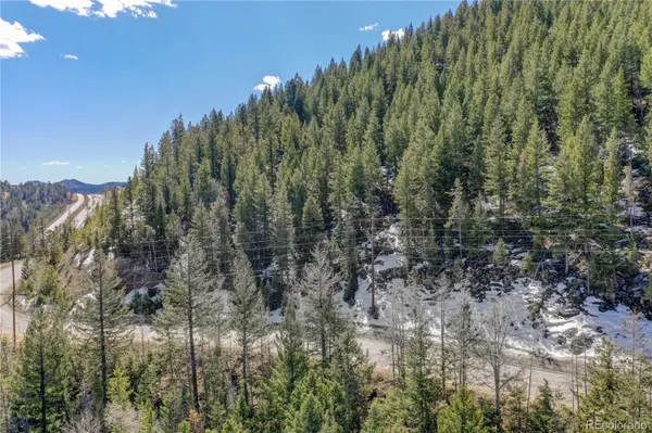 00 Saddleback, Evergreen, CO 80439