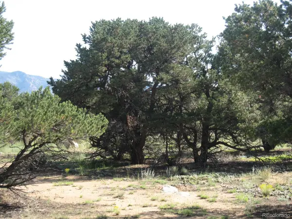 30036 Teal RUN, Buena Vista, CO 81211