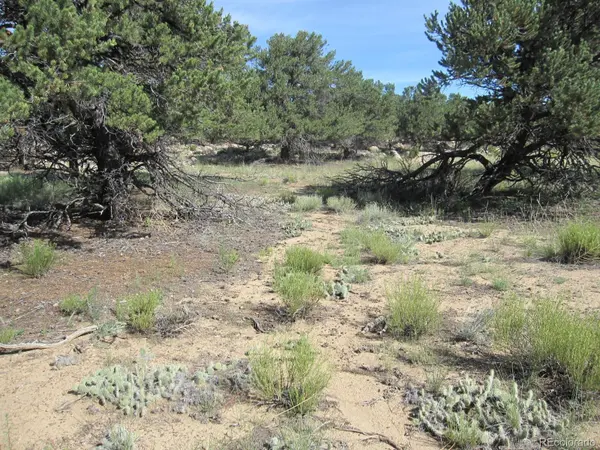 30036 Teal RUN, Buena Vista, CO 81211