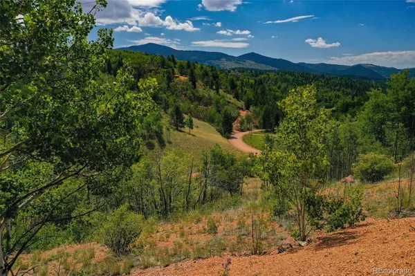 1300 Golden Cycle CIR, Cripple Creek, CO 80813